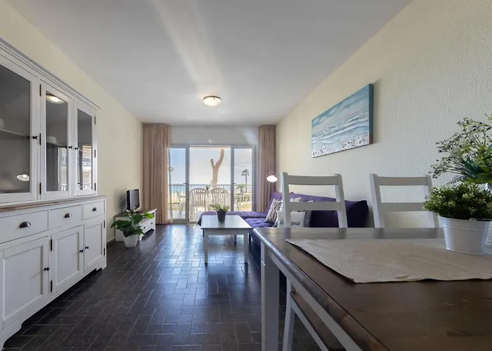 公寓 爱思dms V公寓