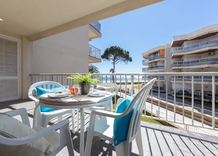 公寓 爱思dms V公寓